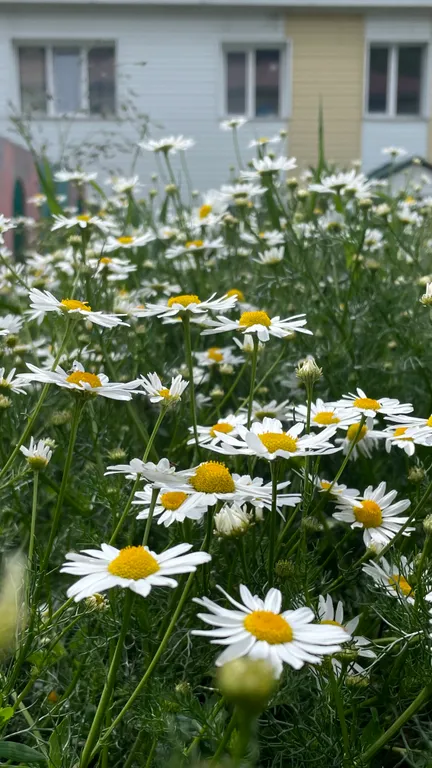 Двухкомнатная квартира в центре Усть Коксы