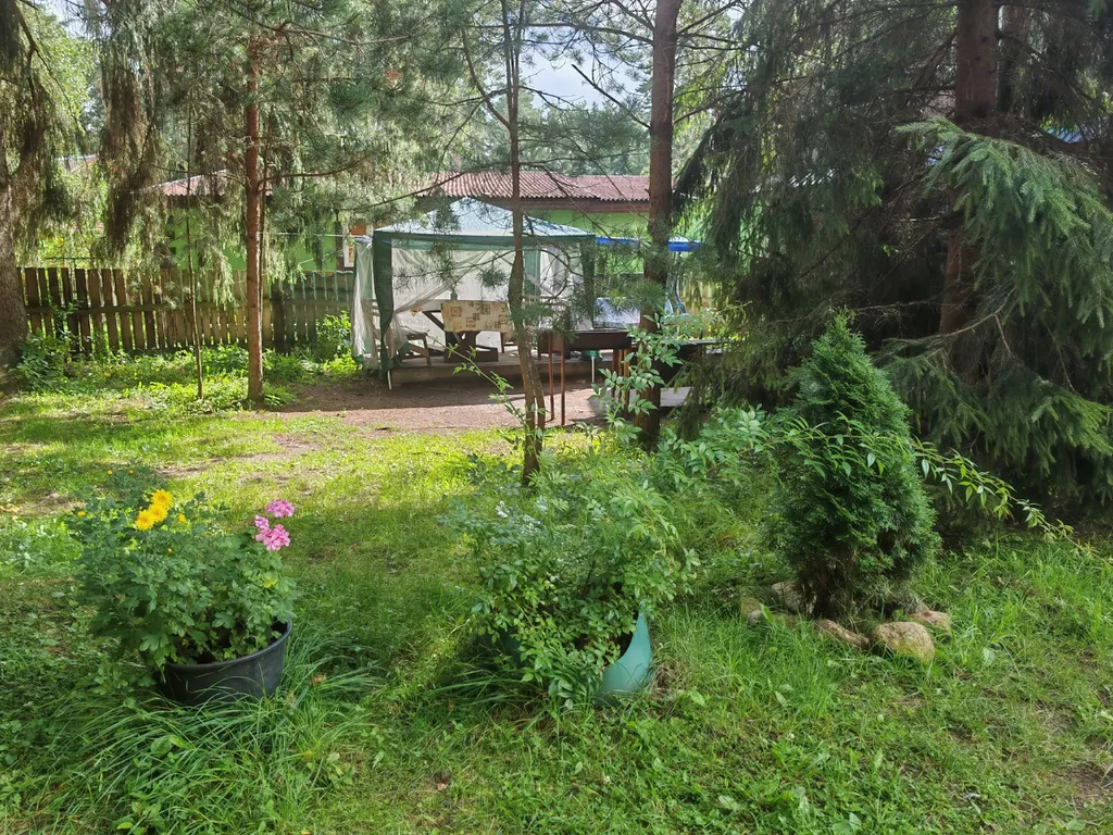 Коттедж Номер на Селигере у озера в сосновом бору — Турбаза Чайка