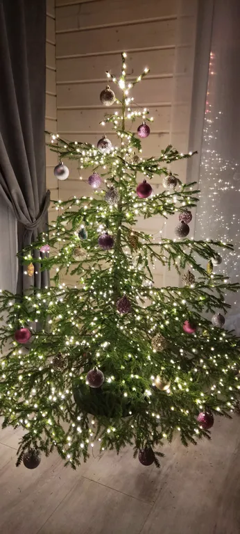 Гостевой дом