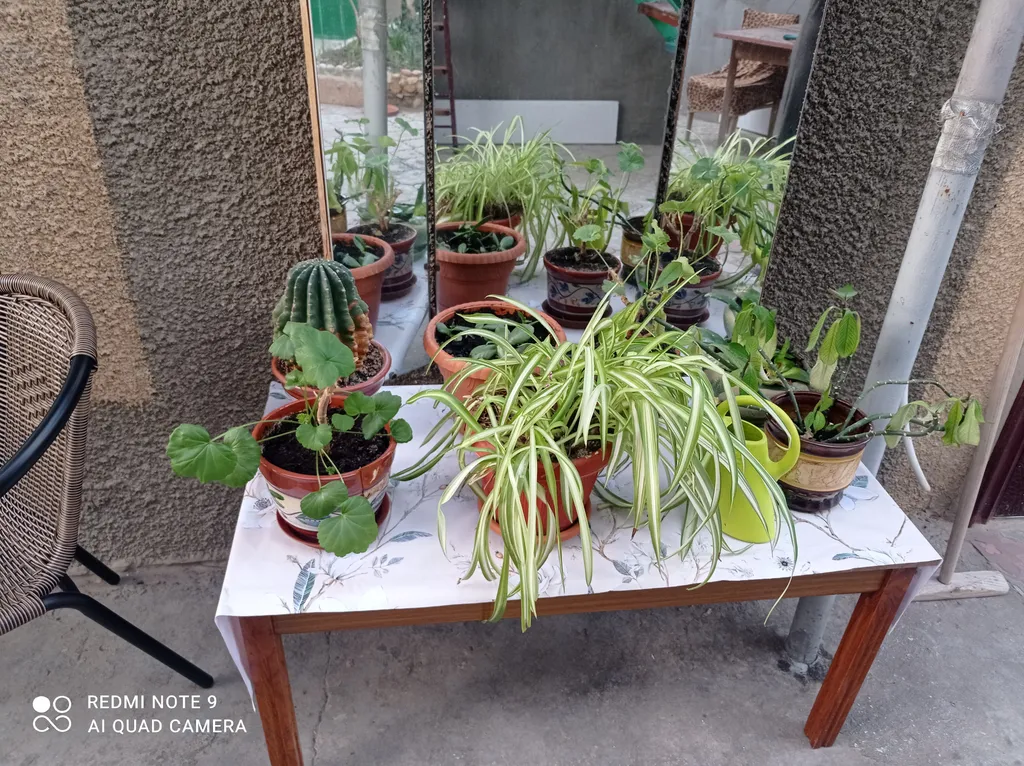 Квартира Уютная комната в частном доме — Заозёрное