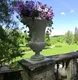 Галина