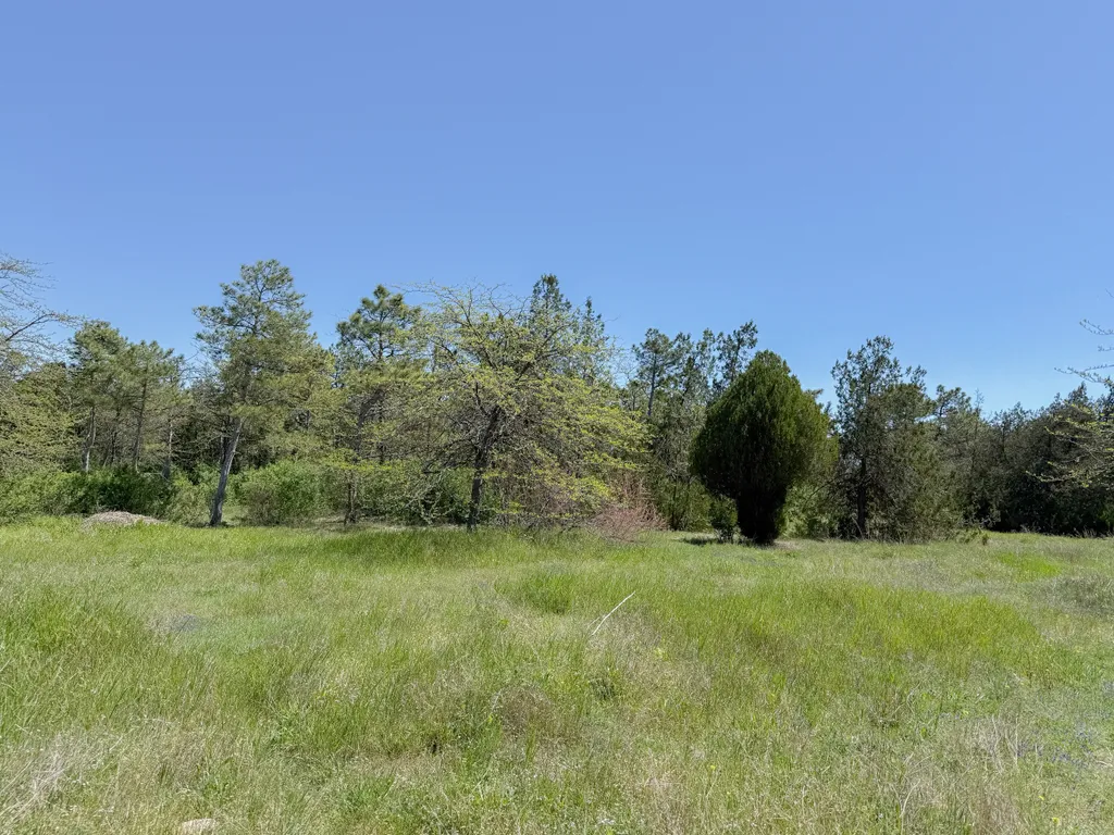 Усадьба Тишины