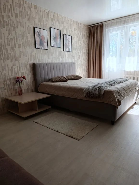 Уютная квартира около ТЦ Рио — аренда посуточно в Иваново