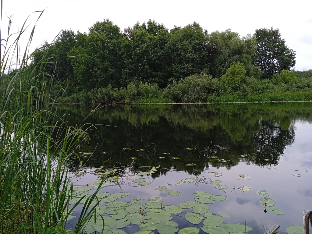 Тихий отдых