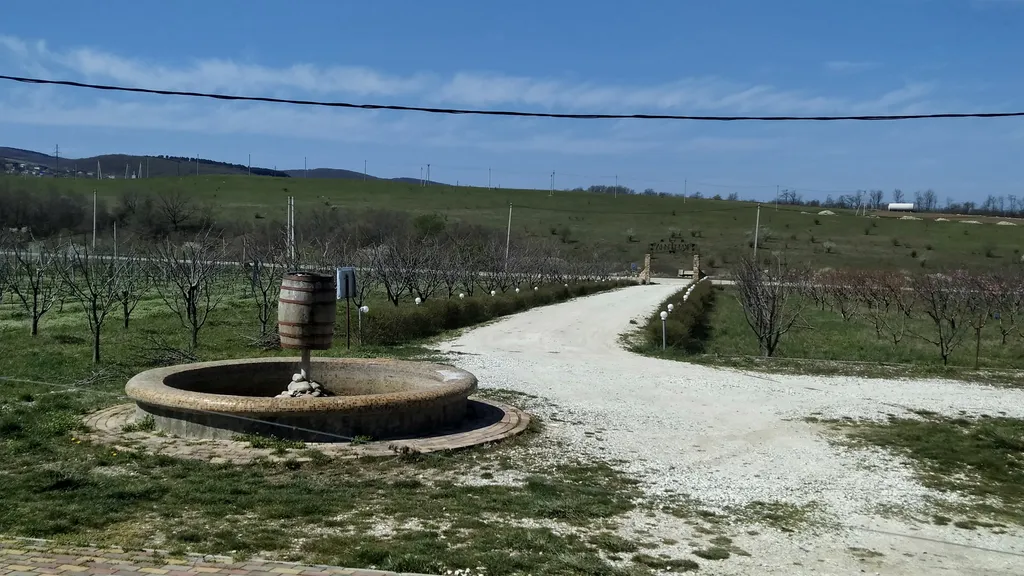 Квартира Отдых на винодельне и виноградниках — аренда посуточно в Анапская