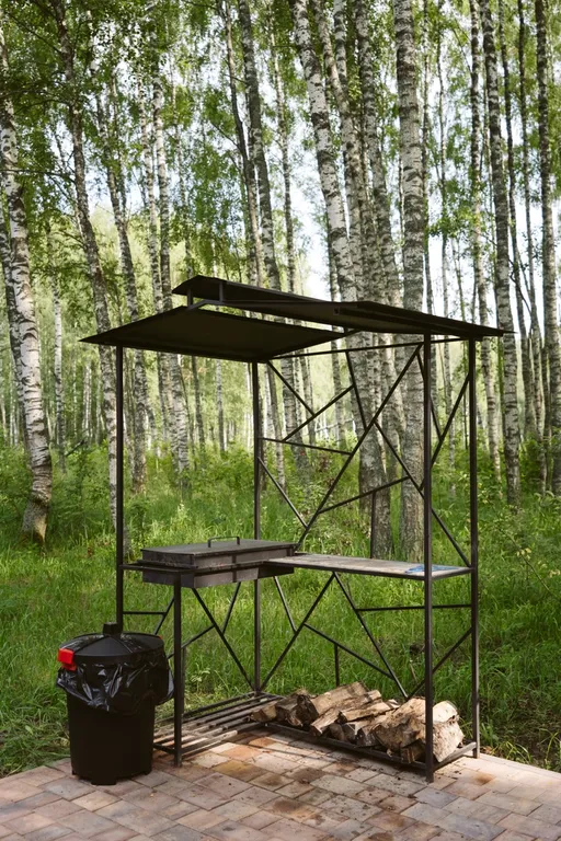 Дом бальдур