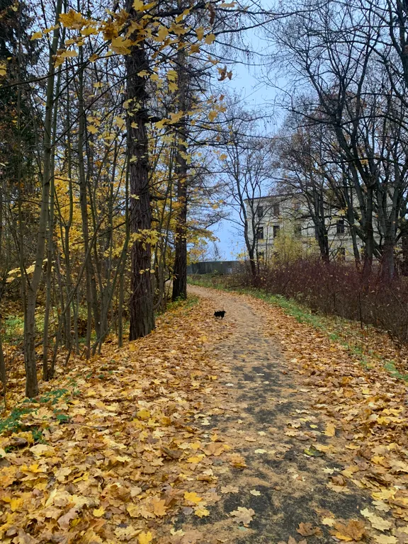 Уютная квартира с сохранением традиций