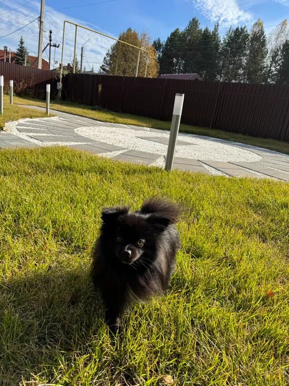 Коттедж Уютный домик в лесу — Новая