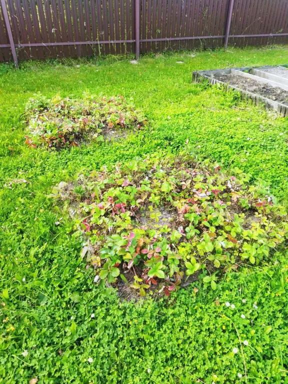 Коттедж Светлый уютный дом в скандинавском стиле — Алексино