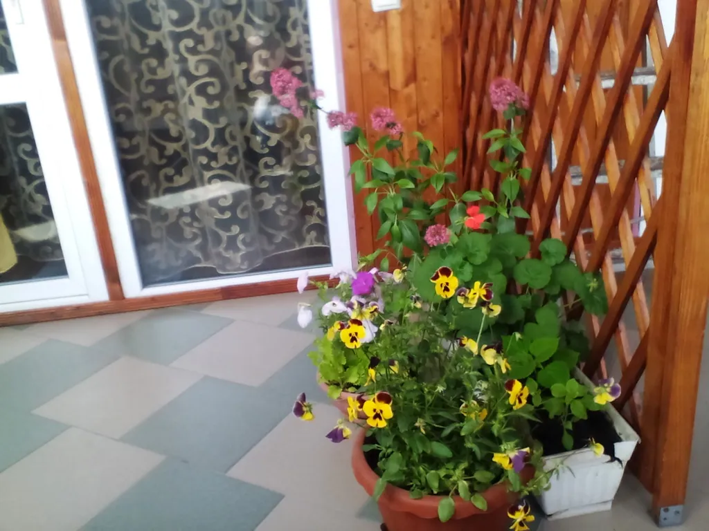 Видовая уютная студия с террасой