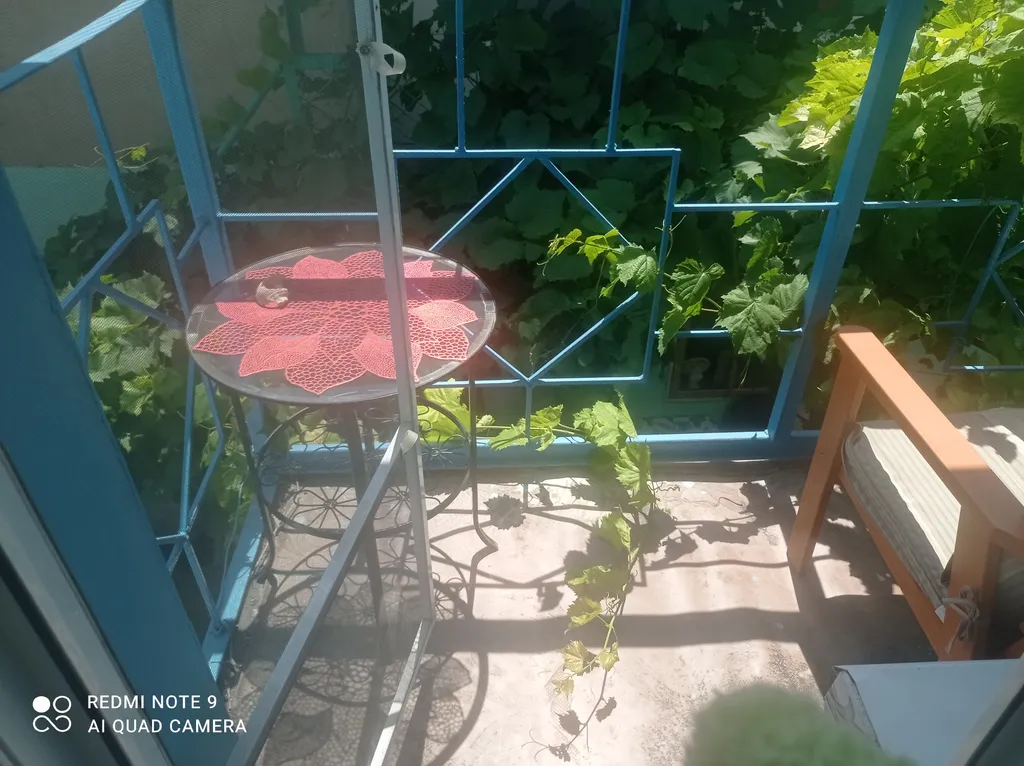 Квартира Уютная комната в частном доме Стандарт — Заозёрное