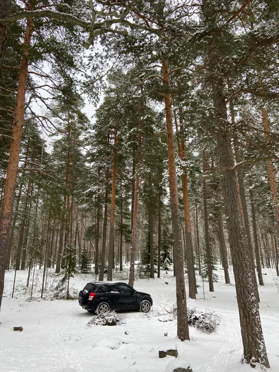 Хижина в лесу на берегу озера без соседей