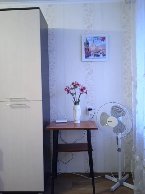 Квартира с видом на городской парк