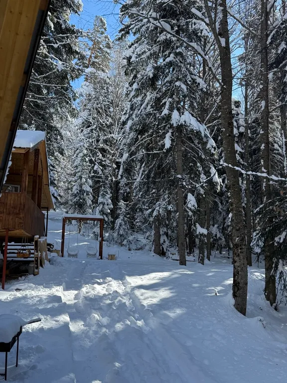 Коттедж 1-комнатный Дом — Архыз