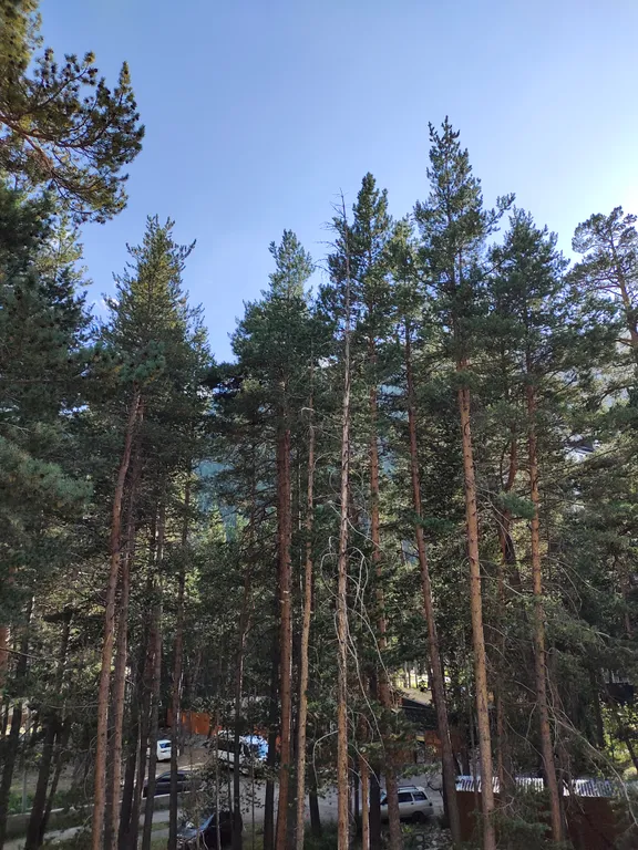 Светлая, уютная, теплая трёхкомнатная квартира