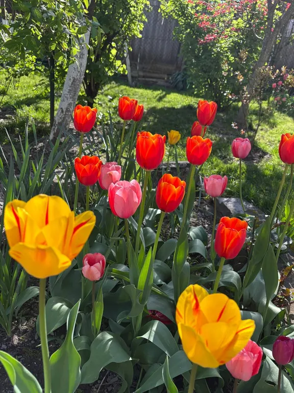 Гостевой дом в сердце Красной поляны