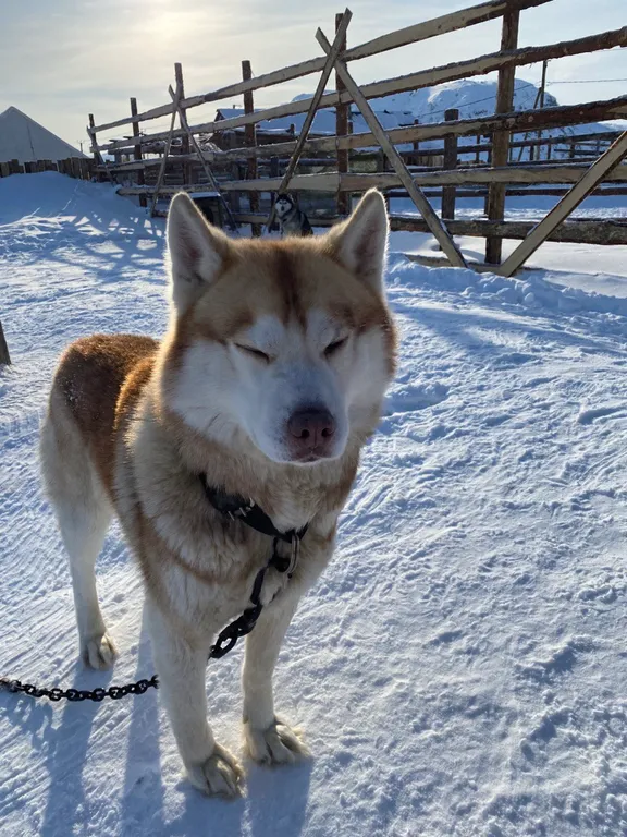 Мини дом для путешественников