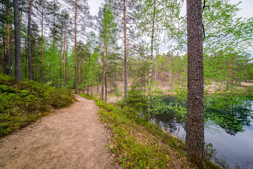 Загородный клуб Радужный лес