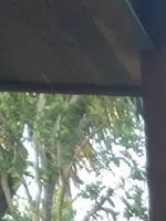 Наталья