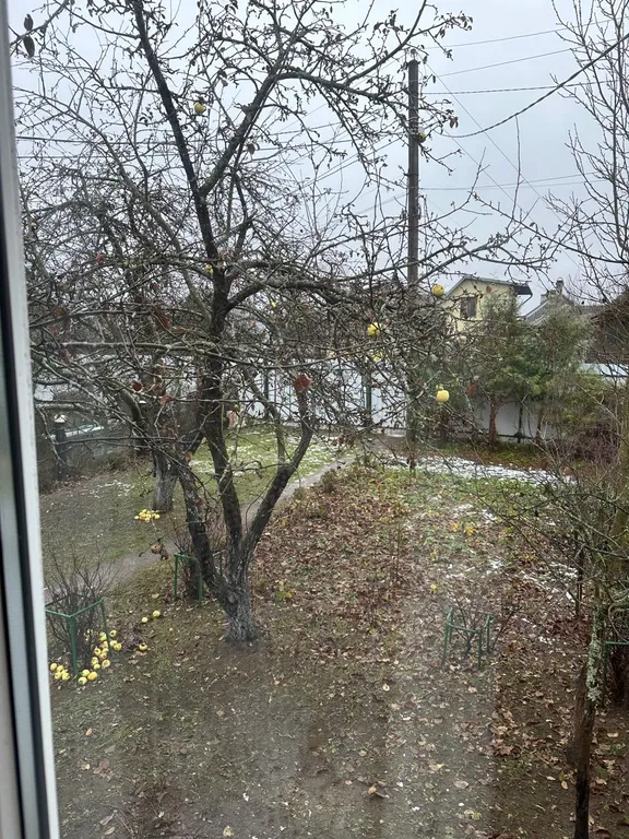 Домик рядом с озером