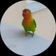 Илья