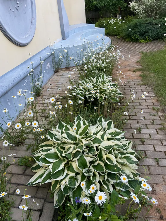 Вилла со своим выходом к Москва-реке