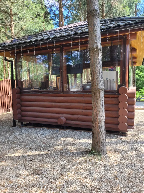 Дом в сосновом лесу