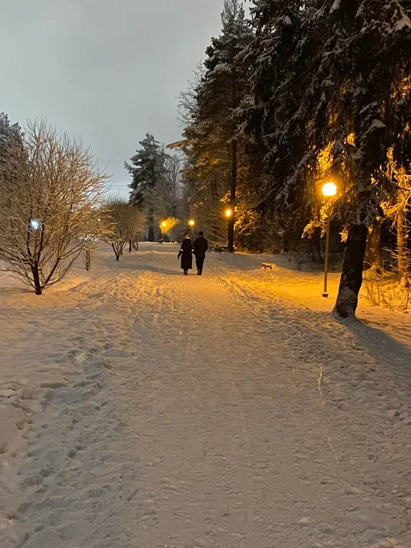 Квартира в Городе Солнца c видом на лес