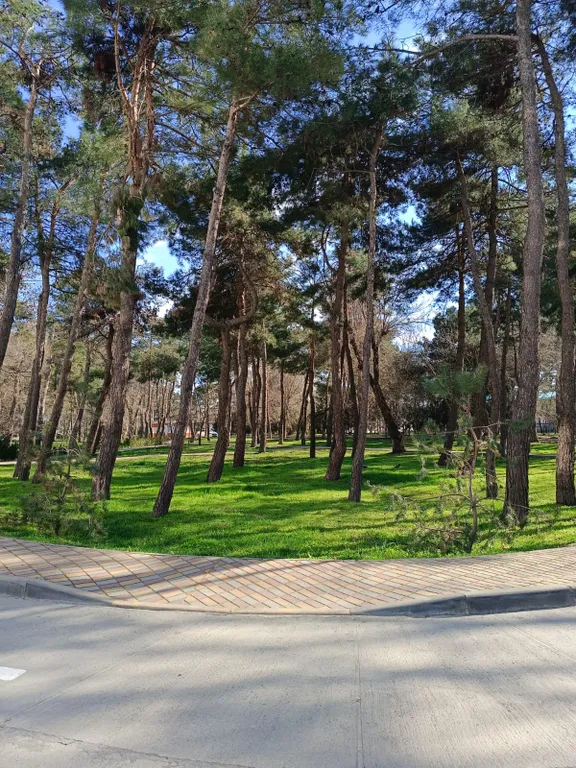 Квартира Апартаменты Анапа вторая линия — Анапа