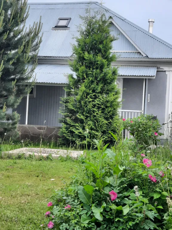 Коттедж Уютный пяти-спальный коттедж — Борзые