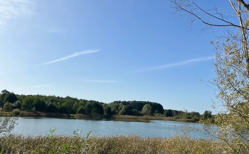 Гостевой Дом 14 в Беловежской пуще на территории Национального парка