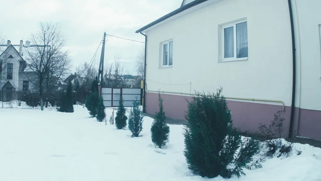 Городской коттедж с сауной и бильярдом в Гродно