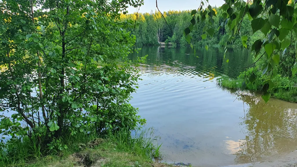 Коттедж Домик гостевой — Нижний Новгород