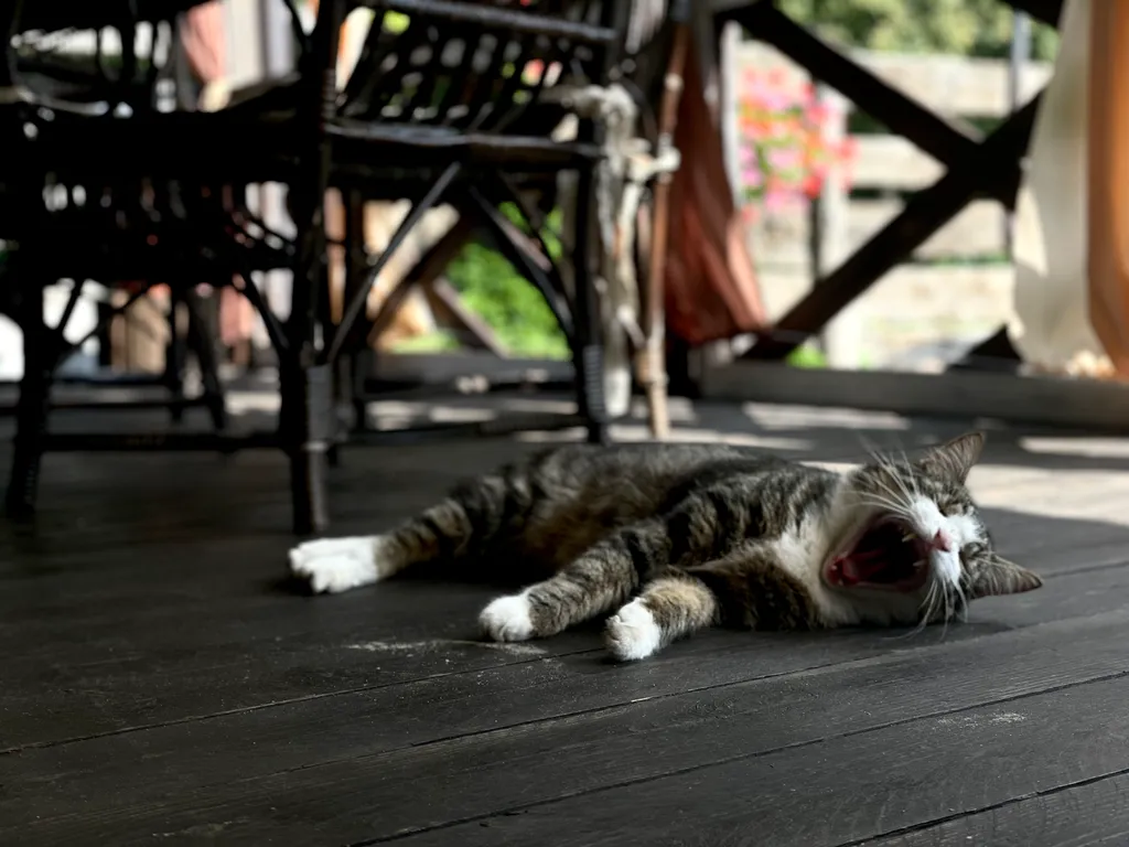 4-комнатный Дом