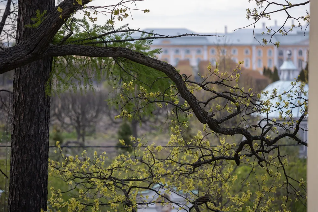 Северная Венеция