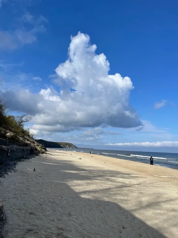 Видовая студия