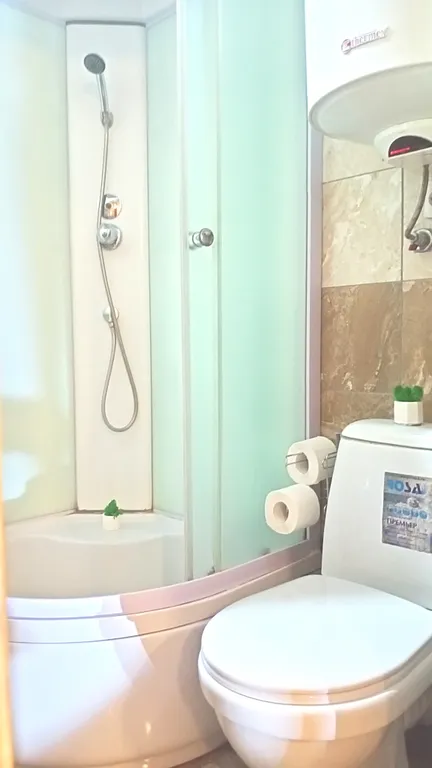 На берегу озера с лебедями, в центре, с камином и антресольным этажом