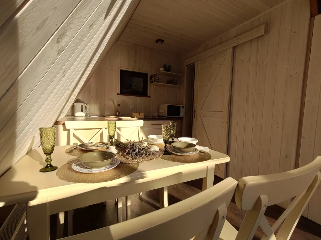 Деревянный дом с сибирской купелью на дровах aframe kmv