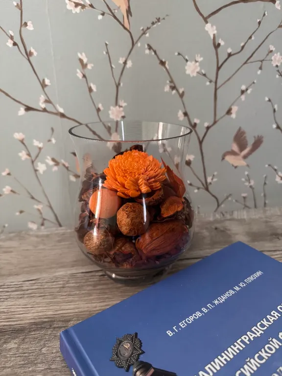 Квартира Уютная квартира в сердце города — Калининград