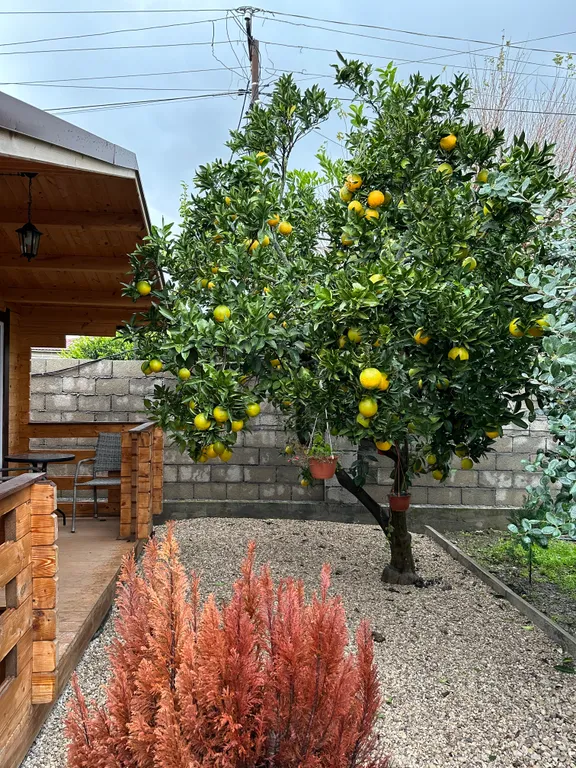 Домики для семейного отдыха