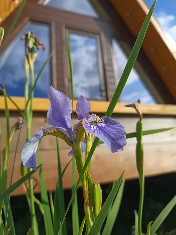 Уютный афрейм