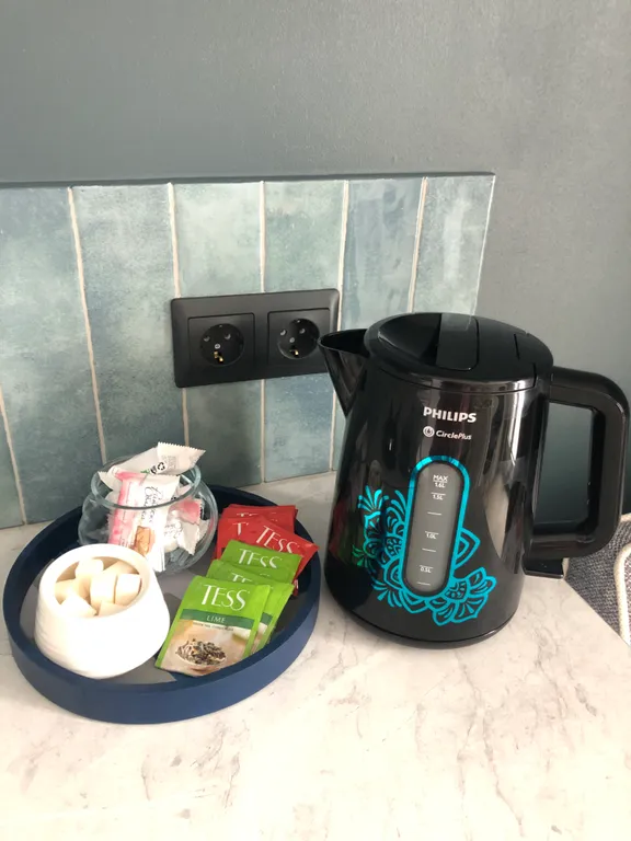 Квартира 1-комнатная Квартира — Светлогорск