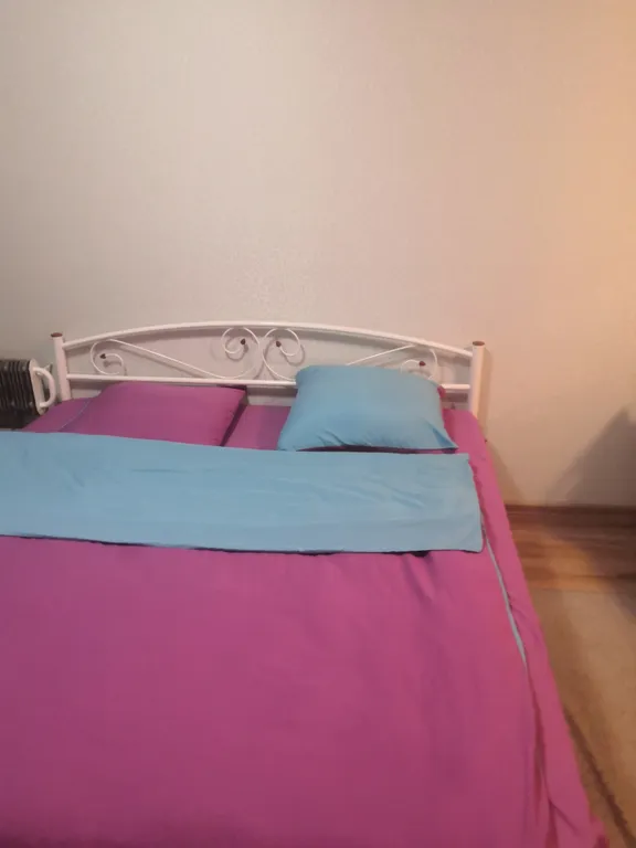 Квартира Уютная студия — аренда посуточно в Барнаул