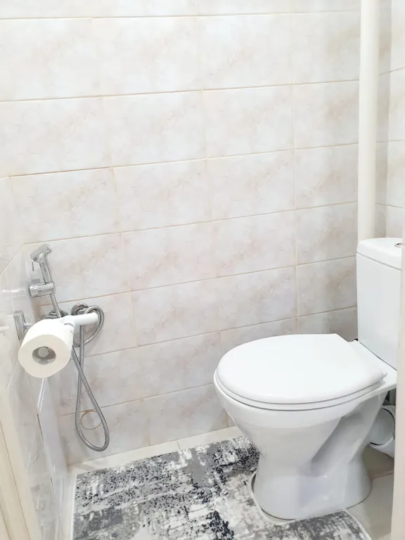 Авторские апартаменты у Золотых ворот с парковкой