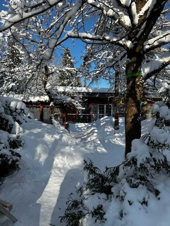 Дача с красными карпами с баней и чаном