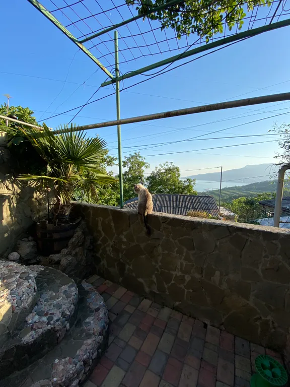 Квартира с видом на море