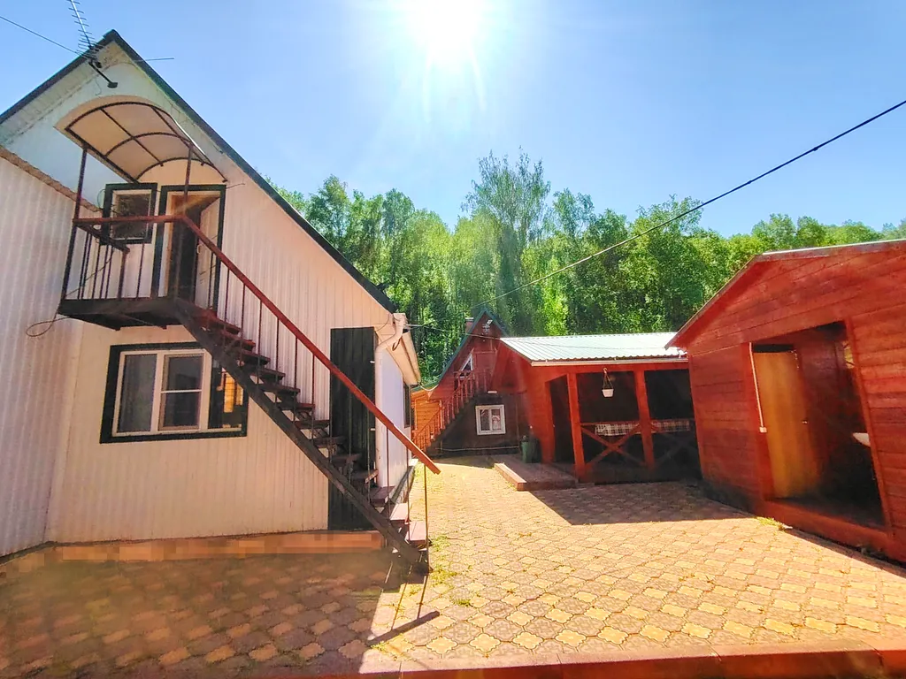 Летний номер с видом на березовый лес