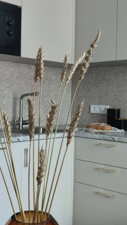 Уютная и современная квартира в исторической части города