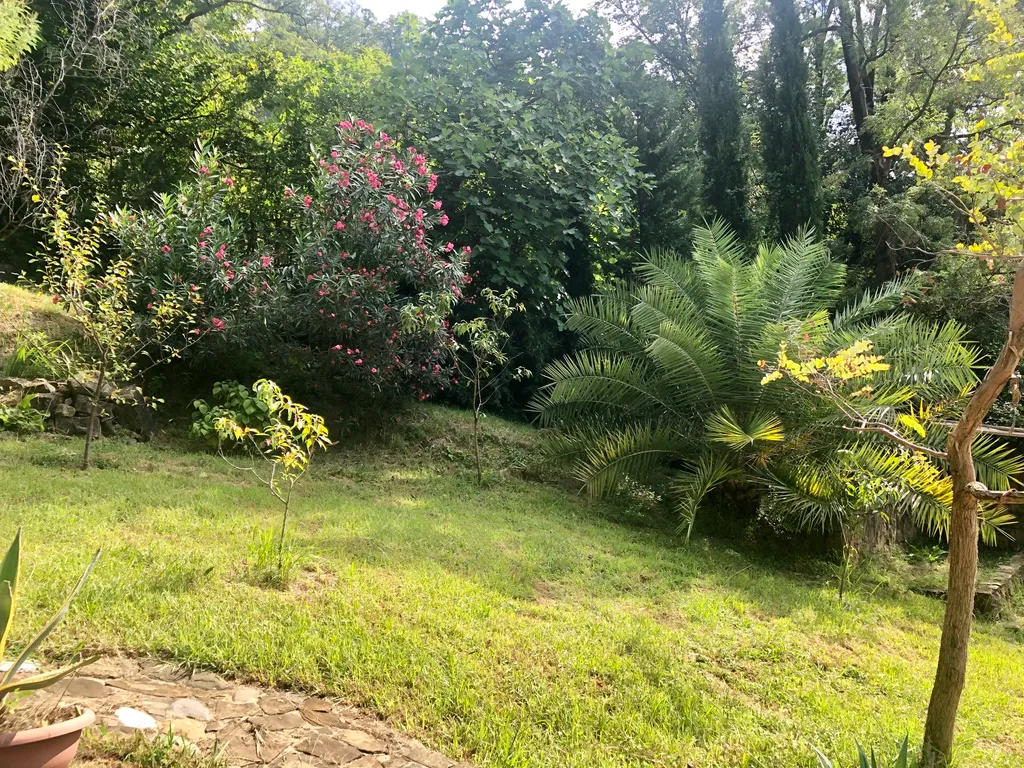 Два дома на море с бассейном и садом