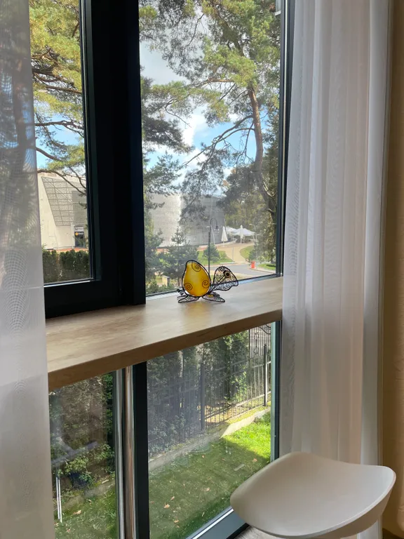 Квартира Квартира Саквояж — Светлогорск